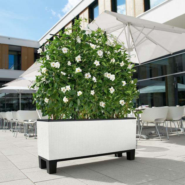 Produktbild Lechuza Blumentopf Trio Cottage 40 (42 cm)
