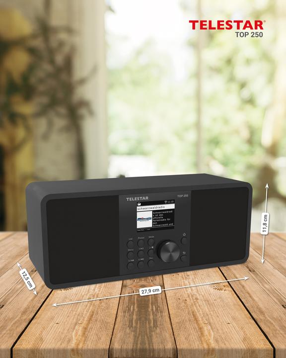 Immagine prodotto Telestar TOP 250 DAB+ Internetradio schwarz (Web radio, VHF, DAB, Bluetooth, WiFi)
