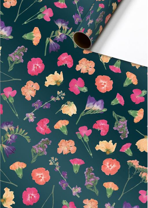 Multicolore, Turchese, Rosa, Arancia