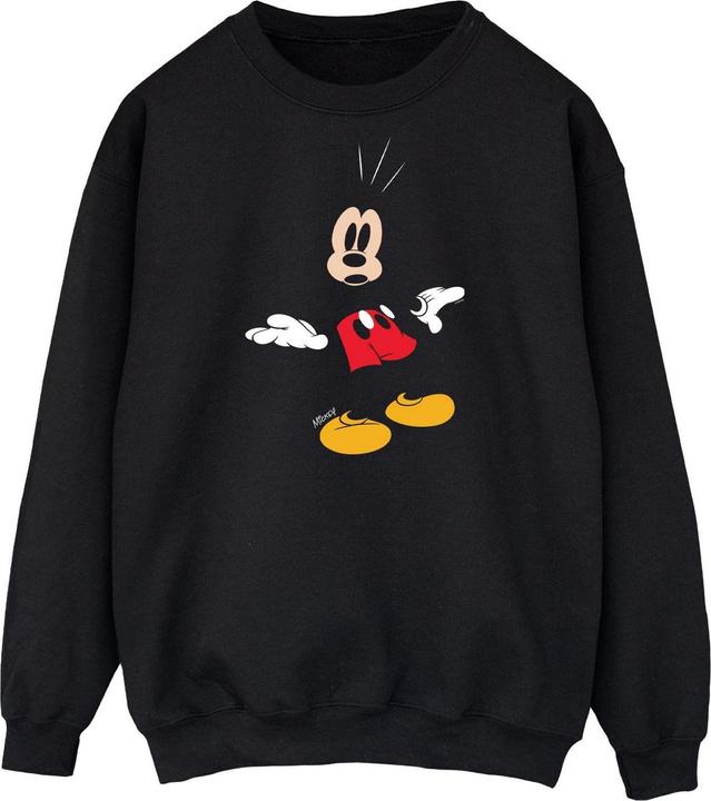 Produktbild Disney Sweatshirt (XXL)