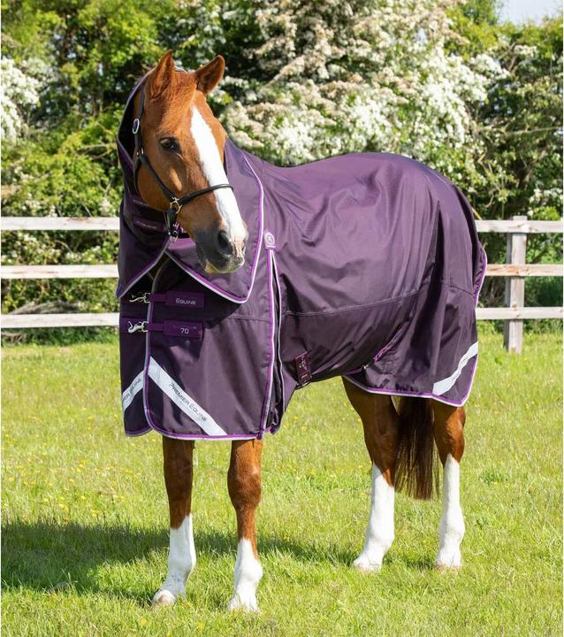 Produktbild Premier Equine Buster 70 g (191 cm)
