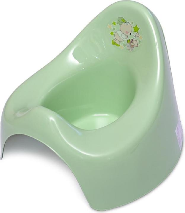 Actual product image Lorelli Plastic potty