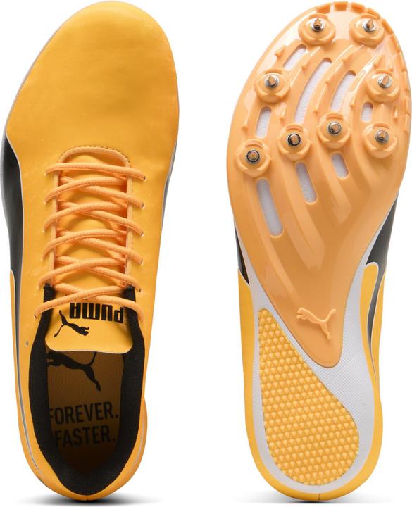 Produktbild Puma evoSPEED Sprint 14.5 (37.5)