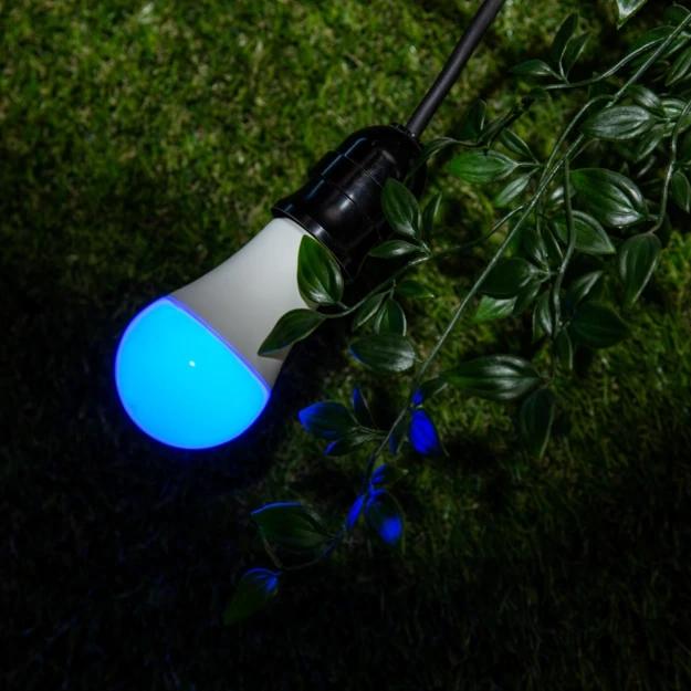 Immagine prodotto Shelly Duo (E27, 9 W, 800 lm, 1 x, F)