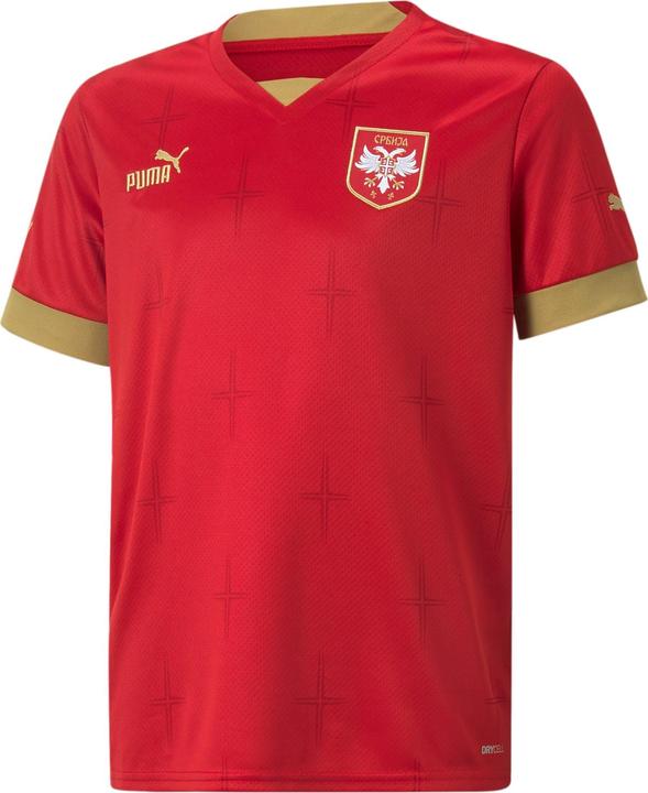 Puma FSS Home Jersey Replica Jr (164)