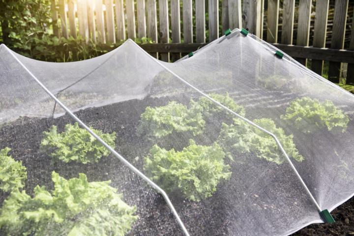 Produktbild Windhager Insektenschutz-Netz