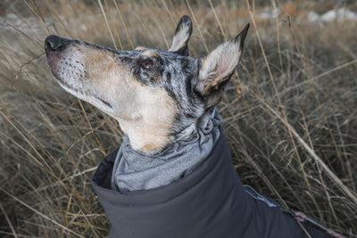 Image du produit Hurtta Extreme (50, Manteau pour chien)