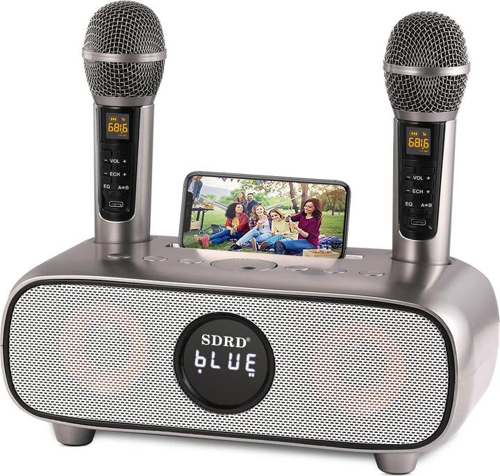Actual product image Dlara Karaoke machine