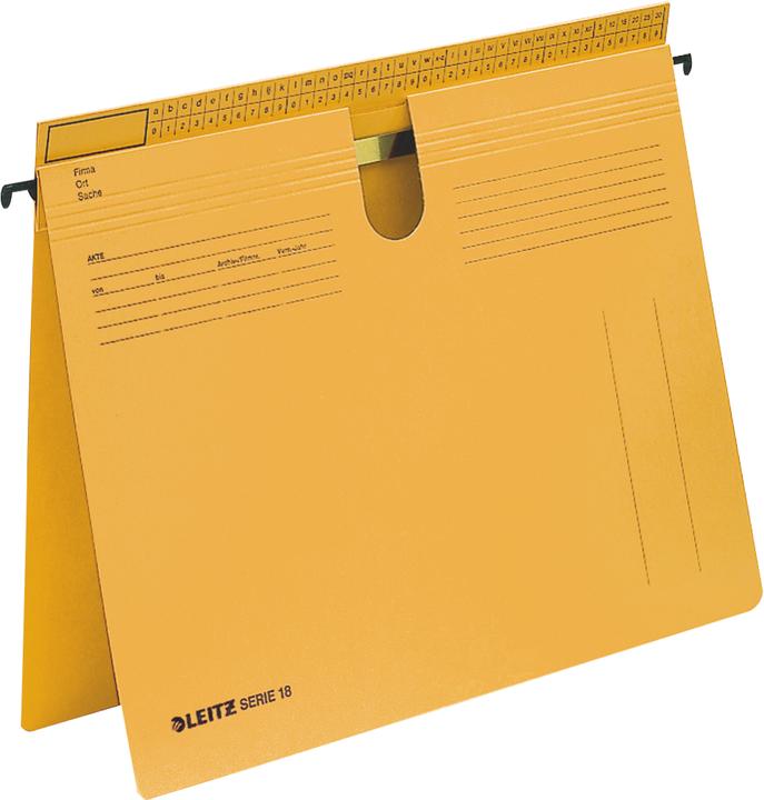 Actual product image Leitz Hanging file series 18 (A4, 1 x)