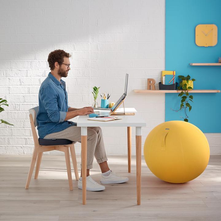 Produktbild Leitz Ergo Cosy Sitzkissen (45.5 x 35.5 cm)