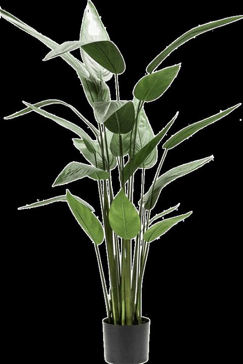 Produktbild Emerald Bara (125 cm)