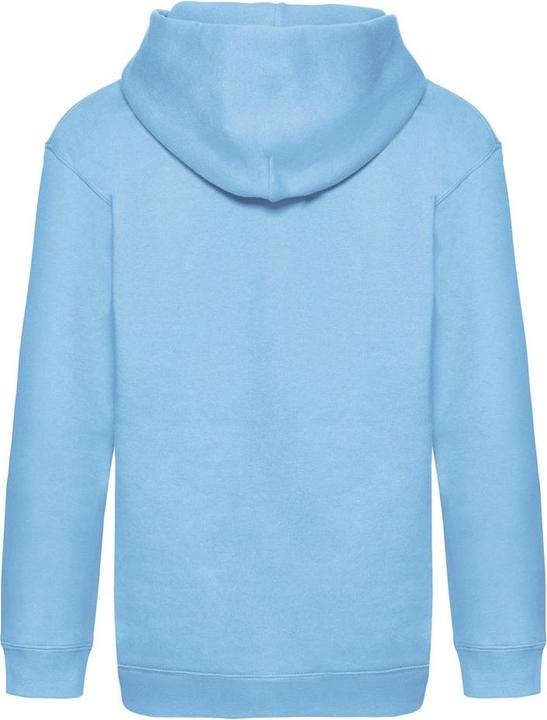 Actual product image Fruit of the Loom Childrens/Kids Premium Hooded Sweatshirt (164, 170)