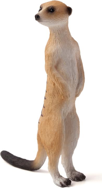 Actual product image Animal Planet Meerkat