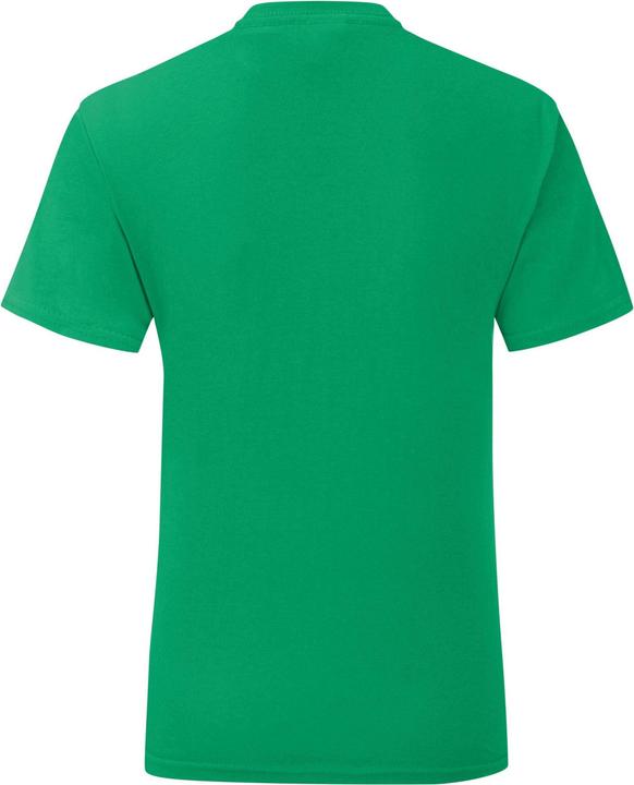 Actual product image Fruit of the Loom Girls Iconic Heather T-Shirt (140, 146)