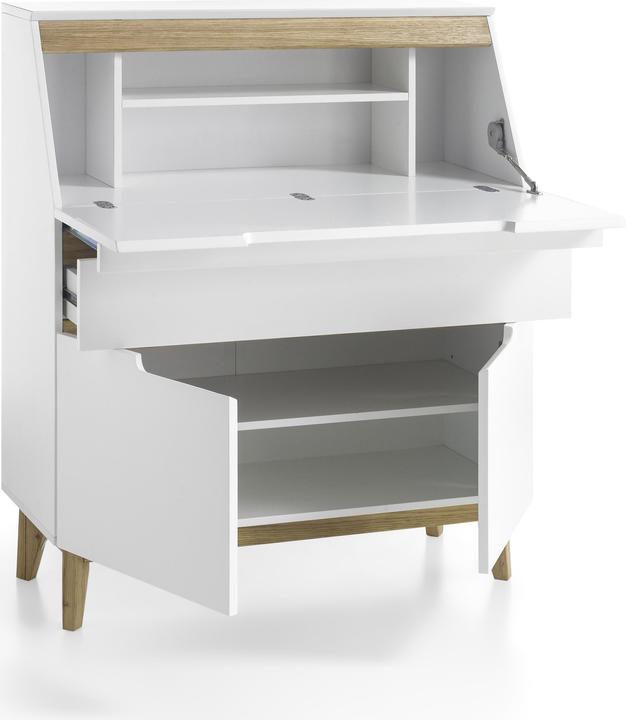 Robas Lund Cervo