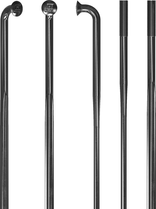Immagine prodotto DT Swiss Raggi Complite 2.0/1.75/2.0x1.3 nero