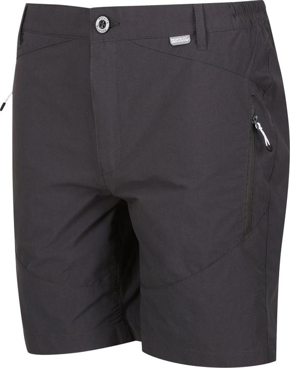 Image du produit Regatta - Short de marche HIGHTON - Homme (44 D)