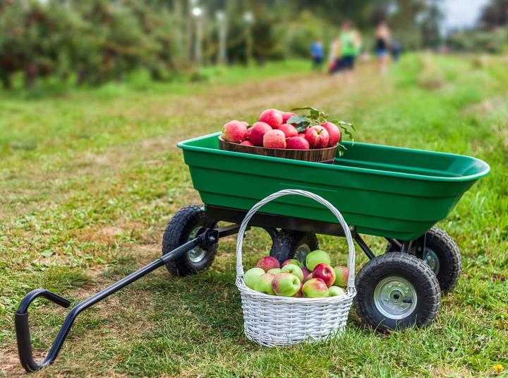 Actual product image Wiltec Dump Cart, Capacity 50l, max. load 200kg, Garden Trolley Tipper Trailer Wheelbarrow