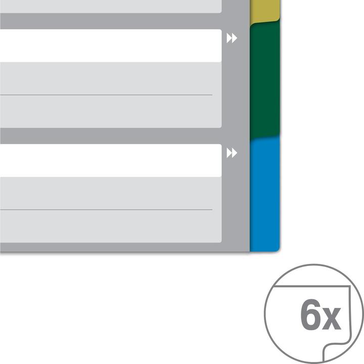 Produktbild von Hallers Register Blanko, A4, 1-5