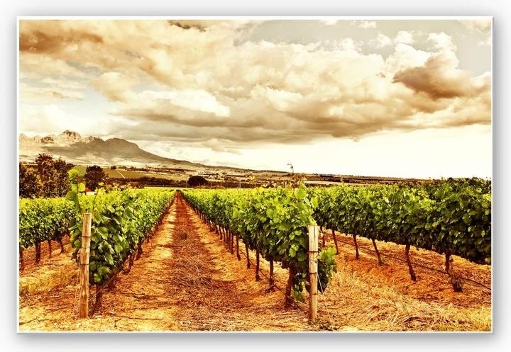 Actual product image Trenddeko Vines in the mountains (45 x 30 cm)