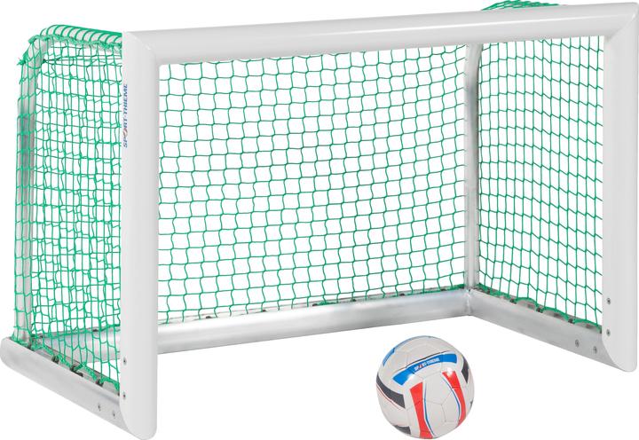 Sport-Thieme Alu-Mini-Trainingstor Professional Kompakt, Weiss-Pulverbeschichtet