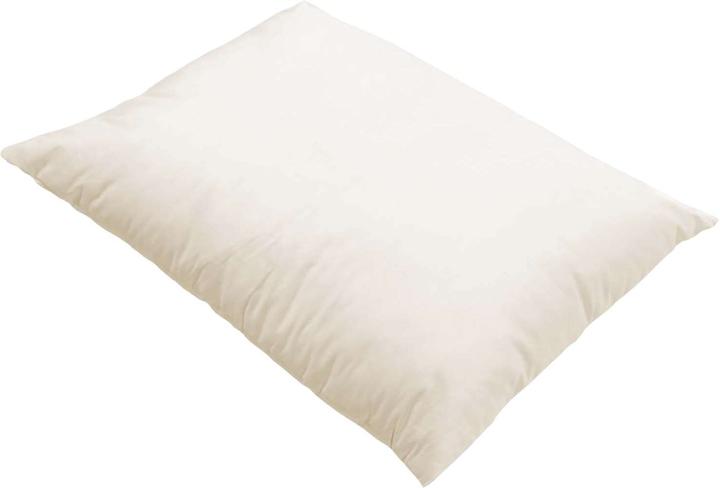 Image du produit Erzstef Coussin de cosses de sarrasin (40 x 60 cm)