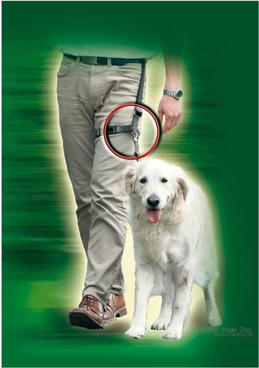 Produktbild Karlie Leg Leader (Hund, Spazieren)