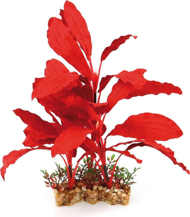 Amazonas Fantasy VSB (Décoration, Plantes)