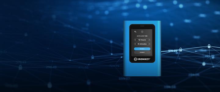 Actual product image Kingston IronKey Vault Privacy 80 (3840 GB)