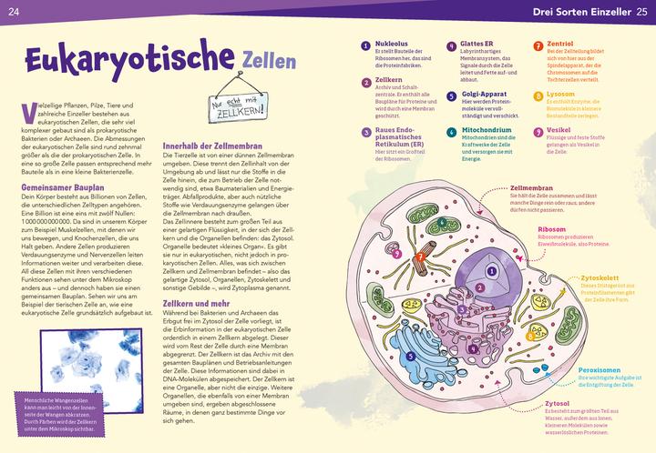 Produktbild Tessloff WAS IST WAS Naturwissenschaften easy! Biologie. Die Zelle (Deutsch, Dr. Manfred Baur, 2021)