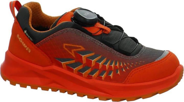 Image du produit Lowa Ferrox GTX LO (26)