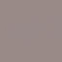 Image du produit Pebeo Deco Couleur acrylique brillante (Taupe, 45 ml)