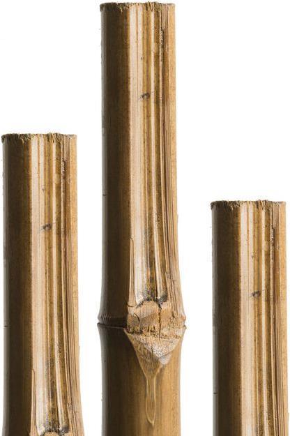 Produktbild Windhager Bambus-Rohr