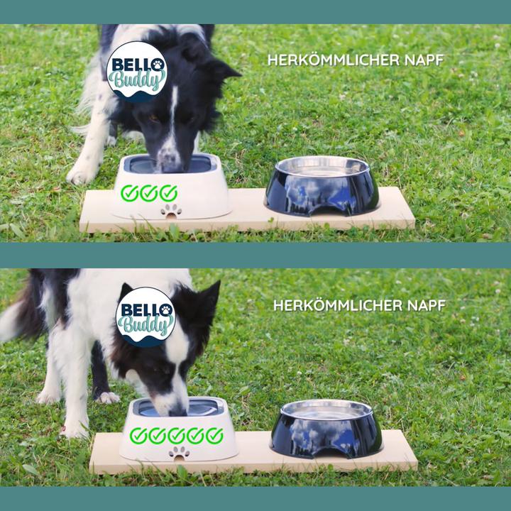 Produktbild MediaShop BelloBuddy Hundewassernapf