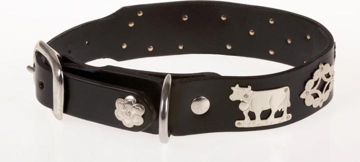 Actual product image Jenni Hemden Appenzeller dog collar (60, Dog, Walks)