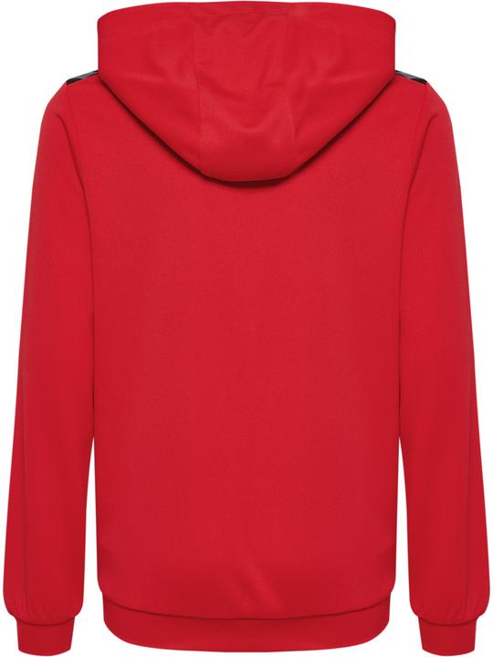 Actual product image hummel Hmlauthentic Pl Hoodie Kids (164)
