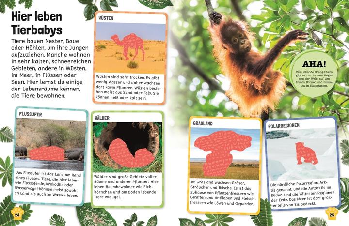 Actual product image Sticker Lexicon. Animal children