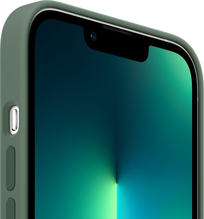 Actual product image Apple Silicone Case with MagSafe (Apple iPhone 13 Pro)