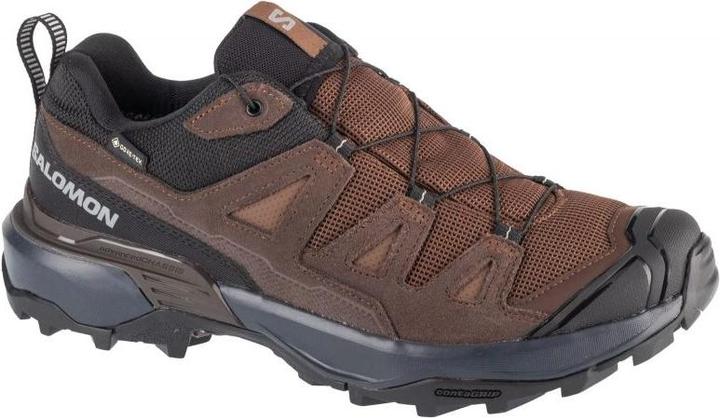 Salomon X Ultra Schuhe (47.5)